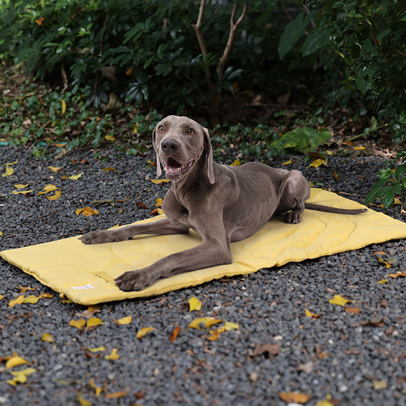 Portable Pet Mat Foldable Pet  - Outdoor Camping Dog Kennel review and price