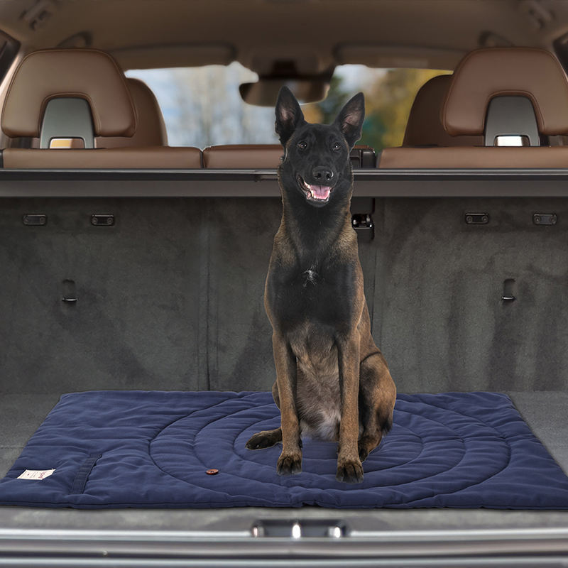 Portable Pet Mat Foldable Pet  - Outdoor Camping Dog Kennel review and price